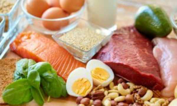 The Importance of Proteins in Nutrition
