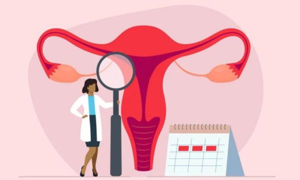 Demystifying the Menstrual Cycle: What You Need to Know